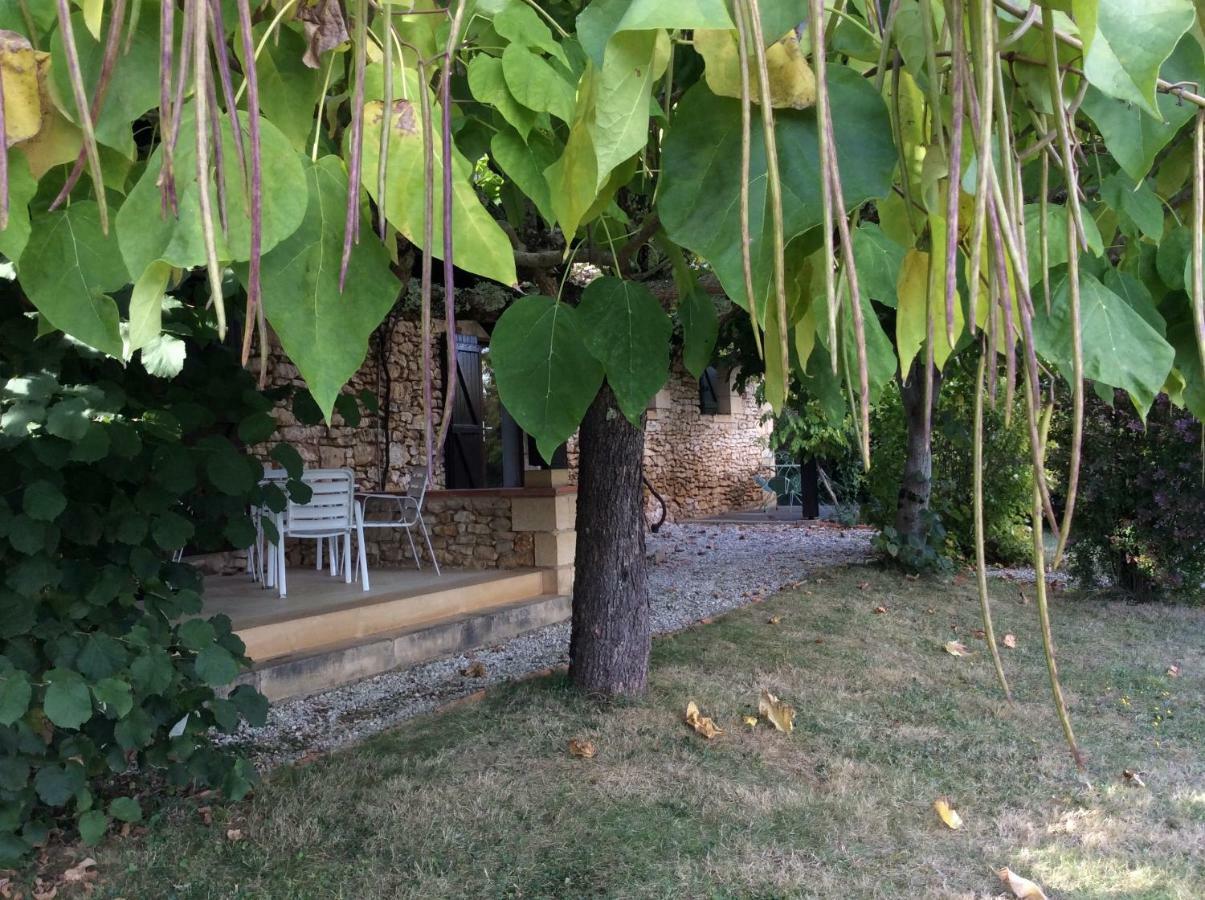 Domaine De Manilau Βίλα Le Buisson-de-Cadouin Εξωτερικό φωτογραφία